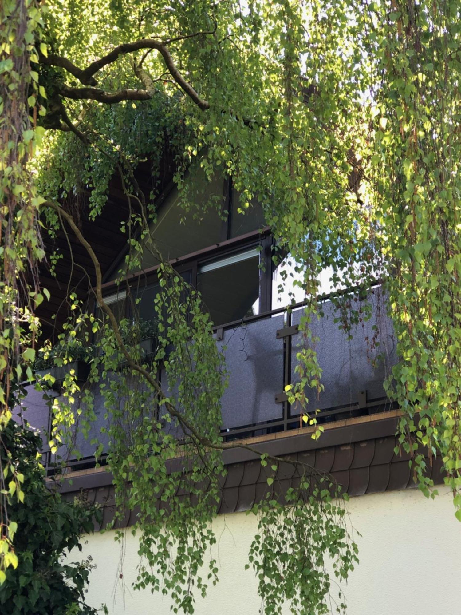 Auszeitwohnung Lage  Dış mekan fotoğraf